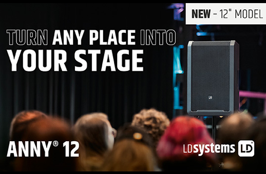 LD Systems Anny 12
