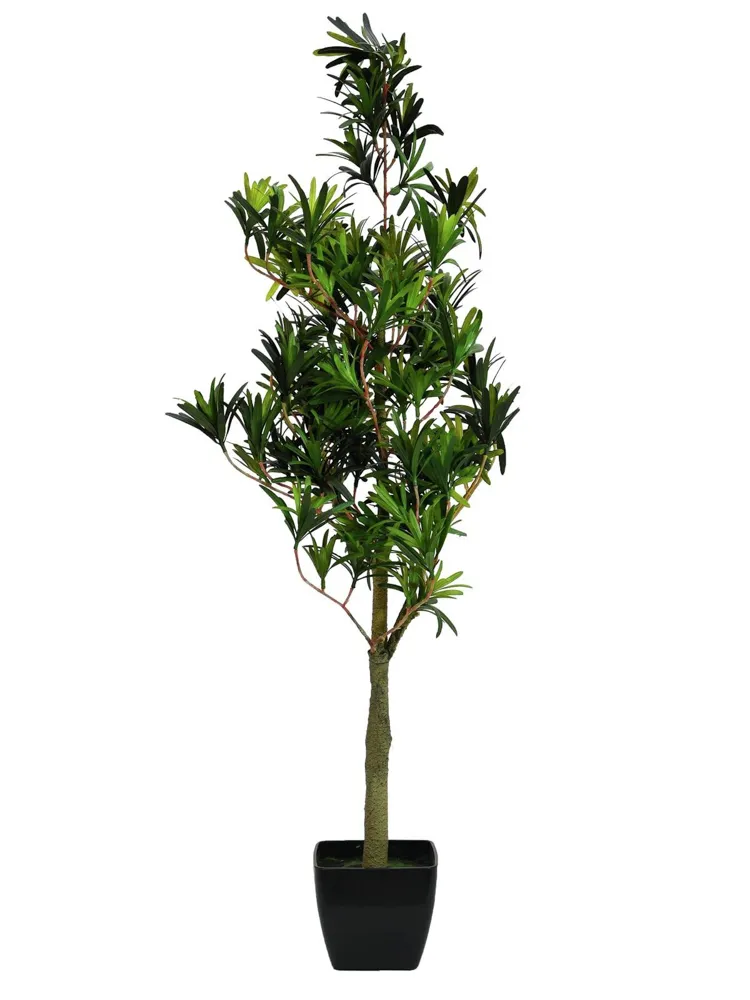 Europalms Podocarpus tree, artificial plant, 90cm