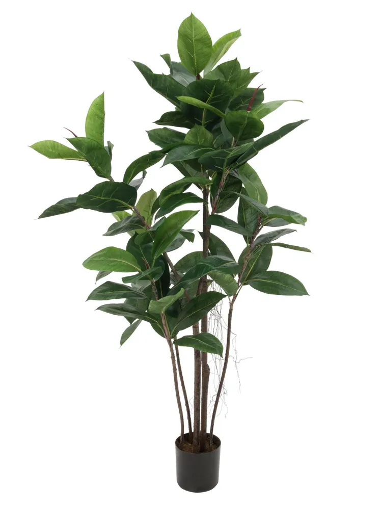 Europalms Rubber tree, artificial plant, 120cm