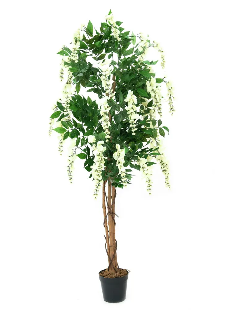 Europalms Wisteria, artificial plant, white, 180cm