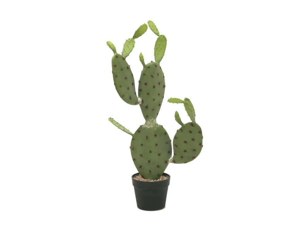 Europalms Nopal cactus, artificial plant, 75cm