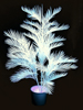Europalms Kentia palm, artificial, uv-white, 170cm