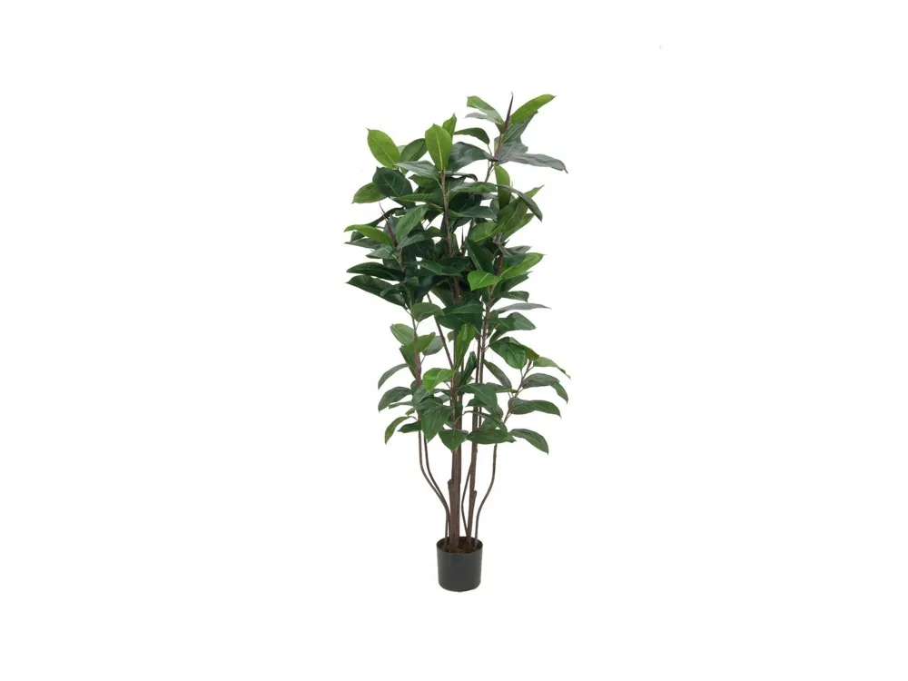 Europalms Rubber tree, artificial plant, 150cm