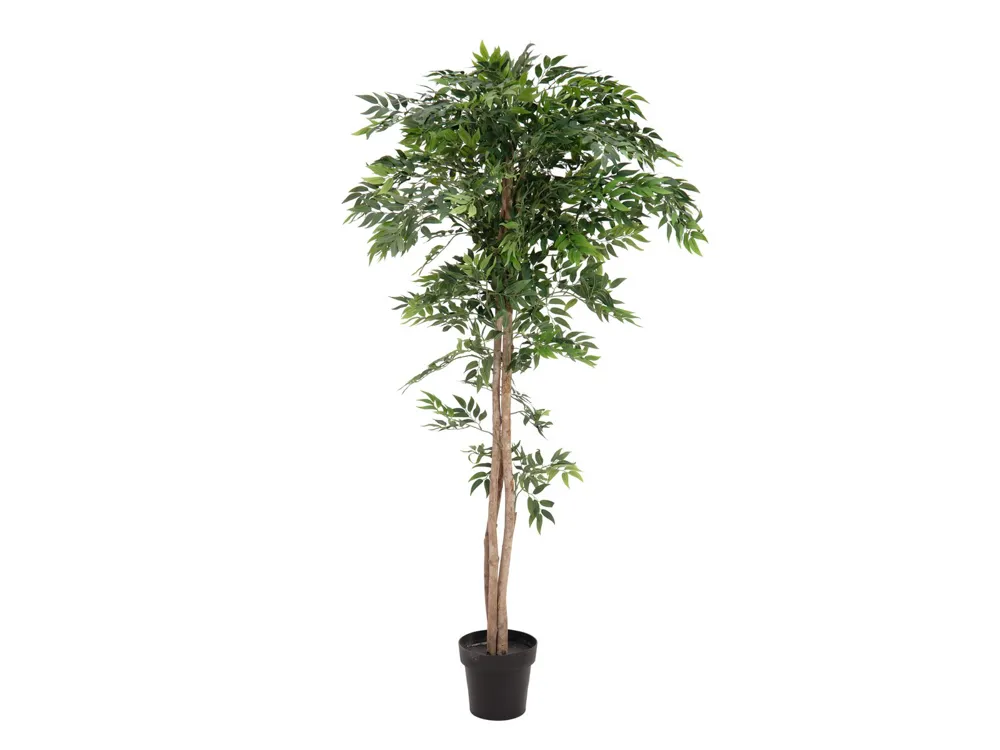 Europalms Ficus longifolia, artificial plant, 165cm