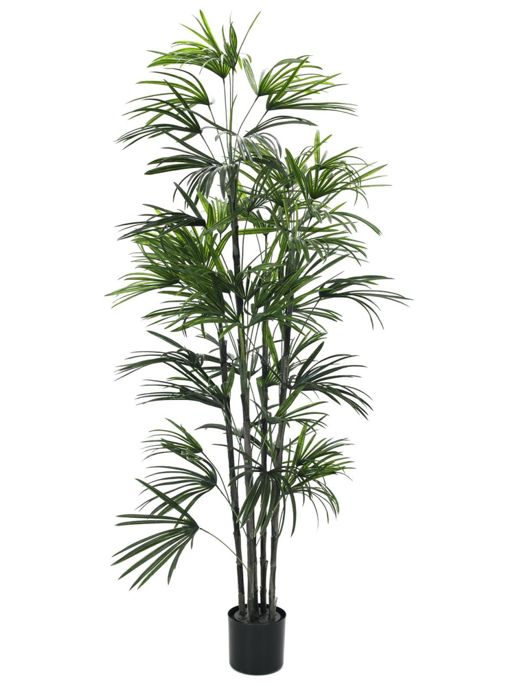 Europalms Fan palm seedling, artificial plant, 150cm