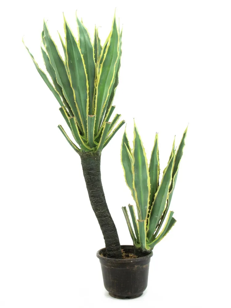 Europalms Orchid-Cactus, artificial plant, 160cm