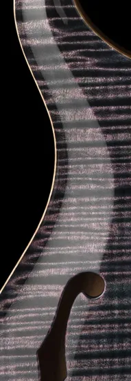 PRS Special Semi Hollow Purple Iris