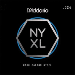 D'Addario NYS024