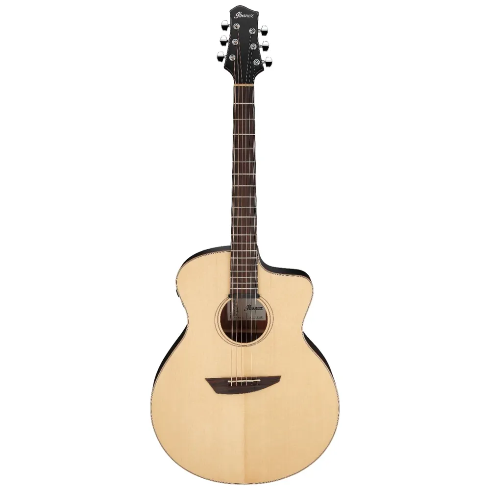 Ibanez PA300E-NSL