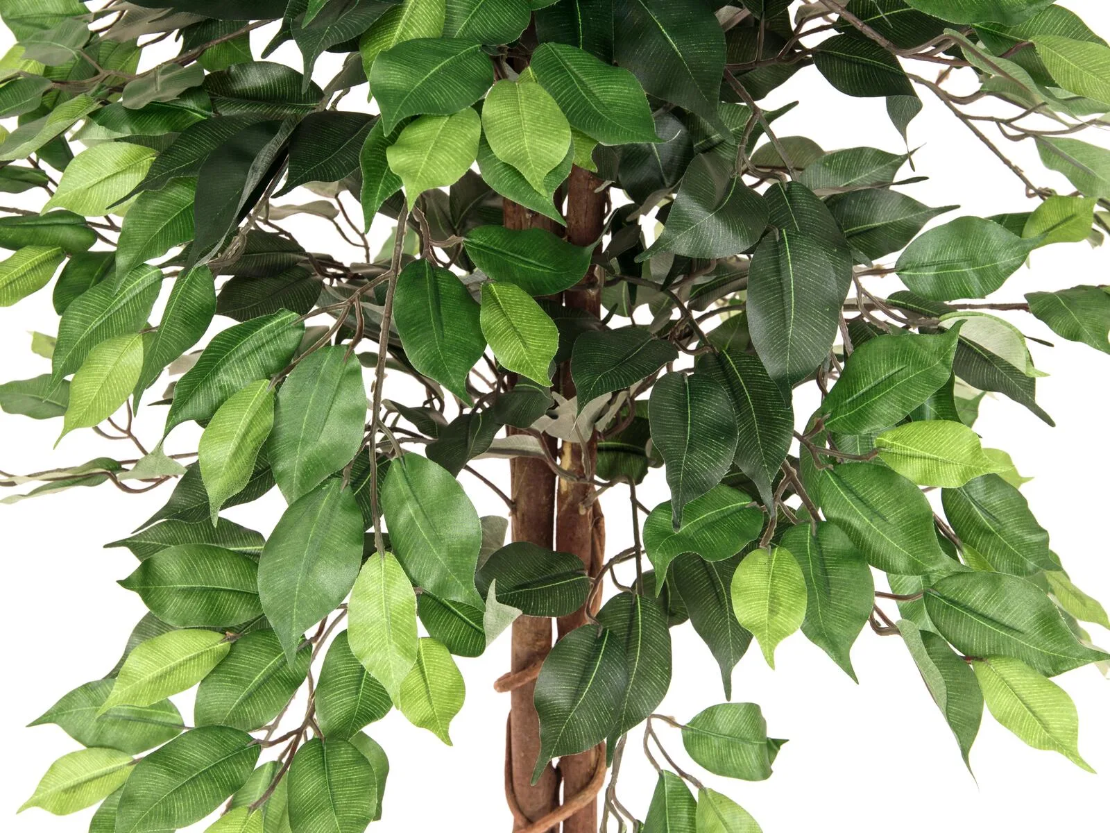 Europalms Ficus Tree Multi Trunk, artificial plant, 150cm