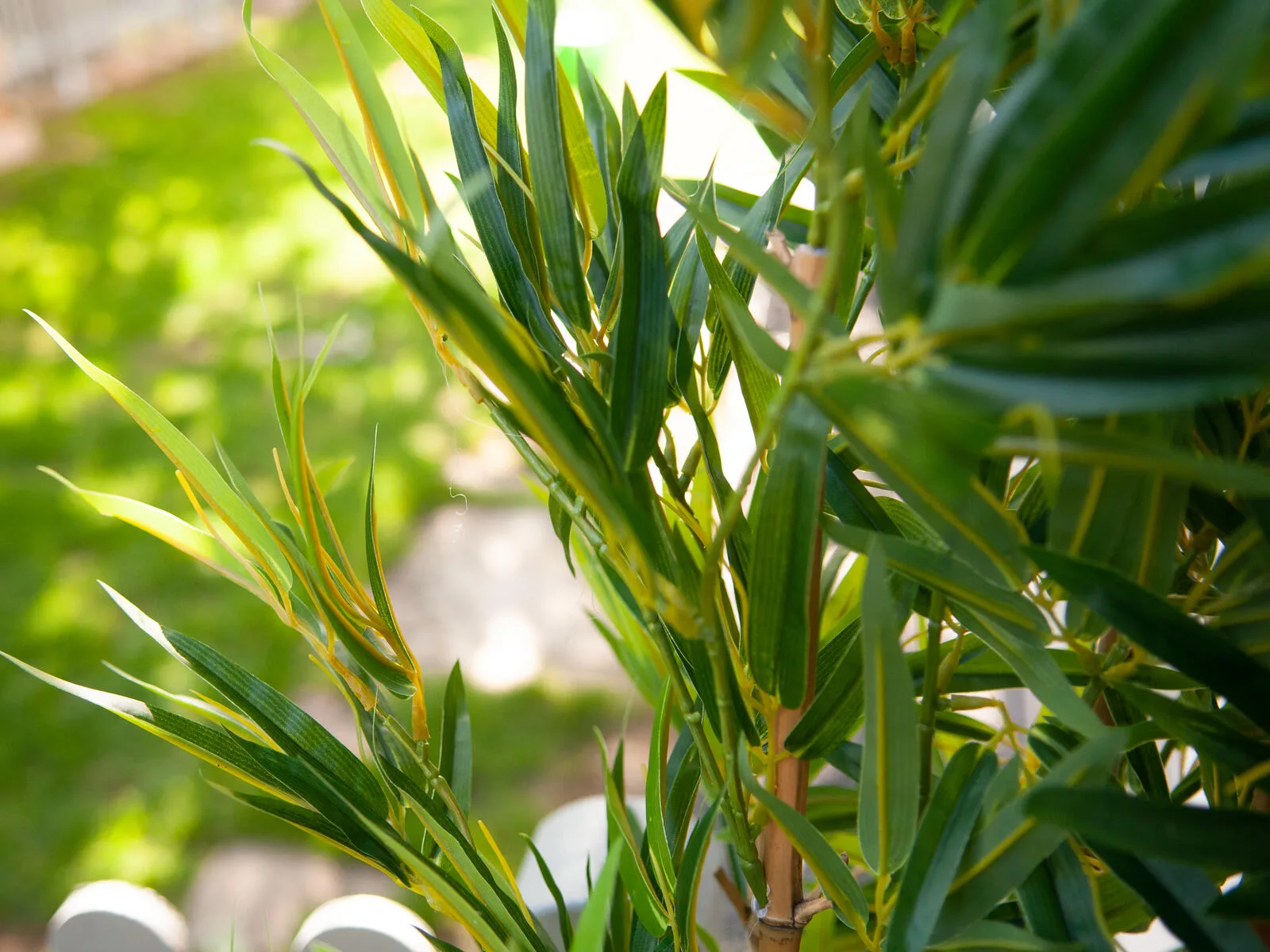 Europalms Bamboo deluxe, artificial plant, 150cm