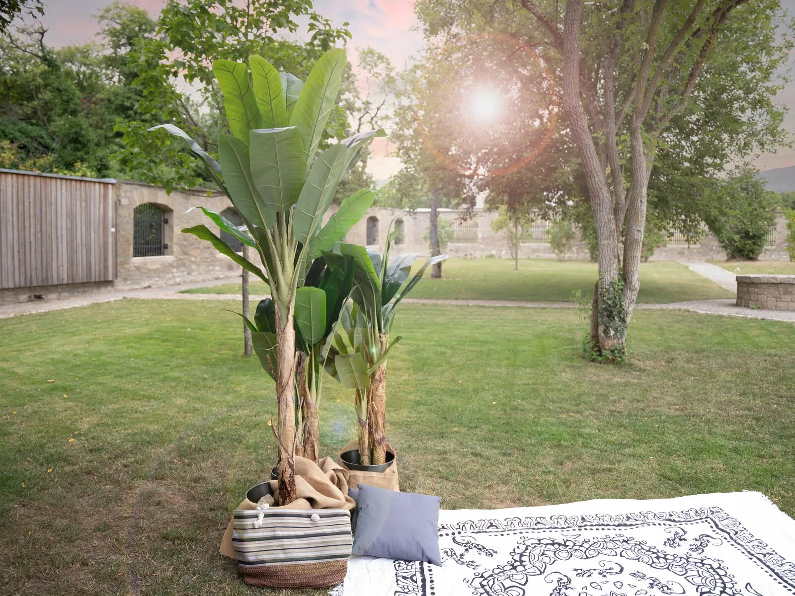 Europalms Banana tree artificial plan 210cm