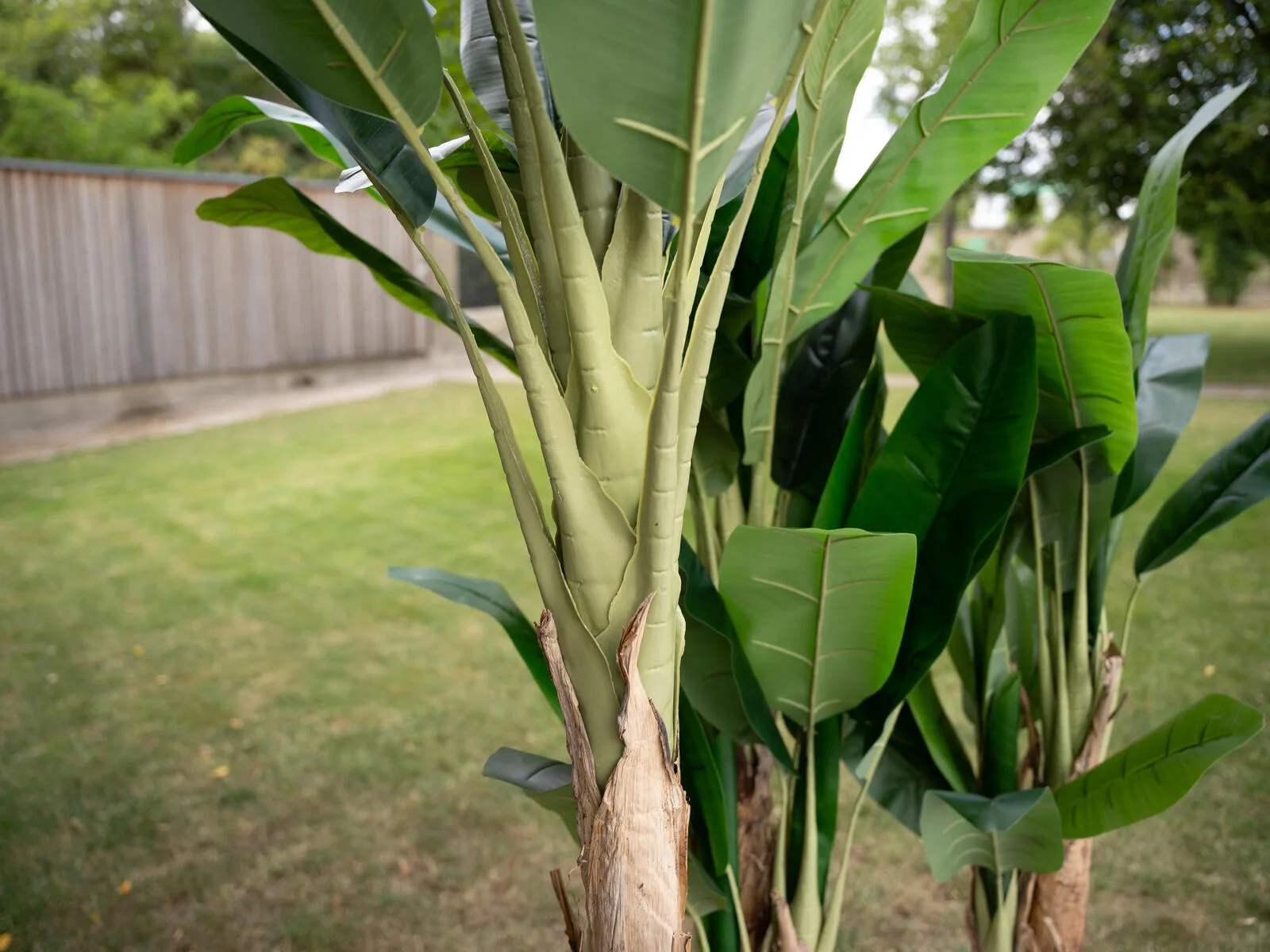 Europalms Banana tree artificial plan 210cm