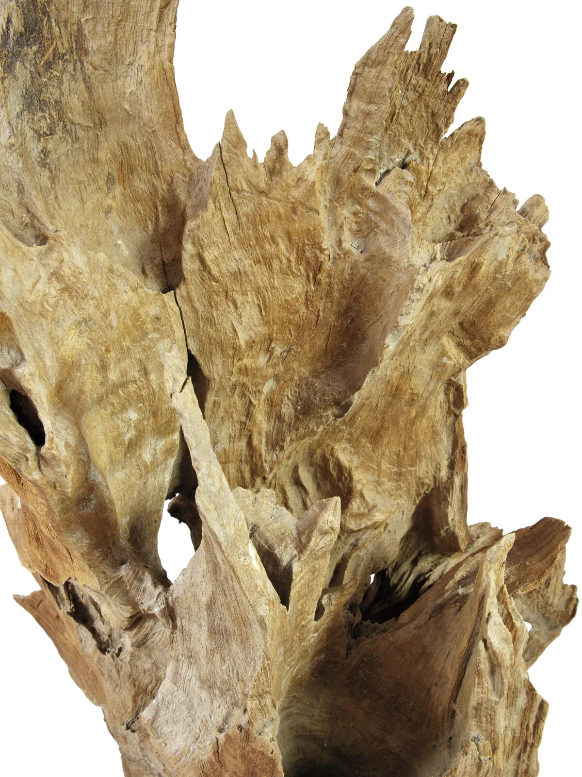 Europalms Natural wood sculpture 160cm