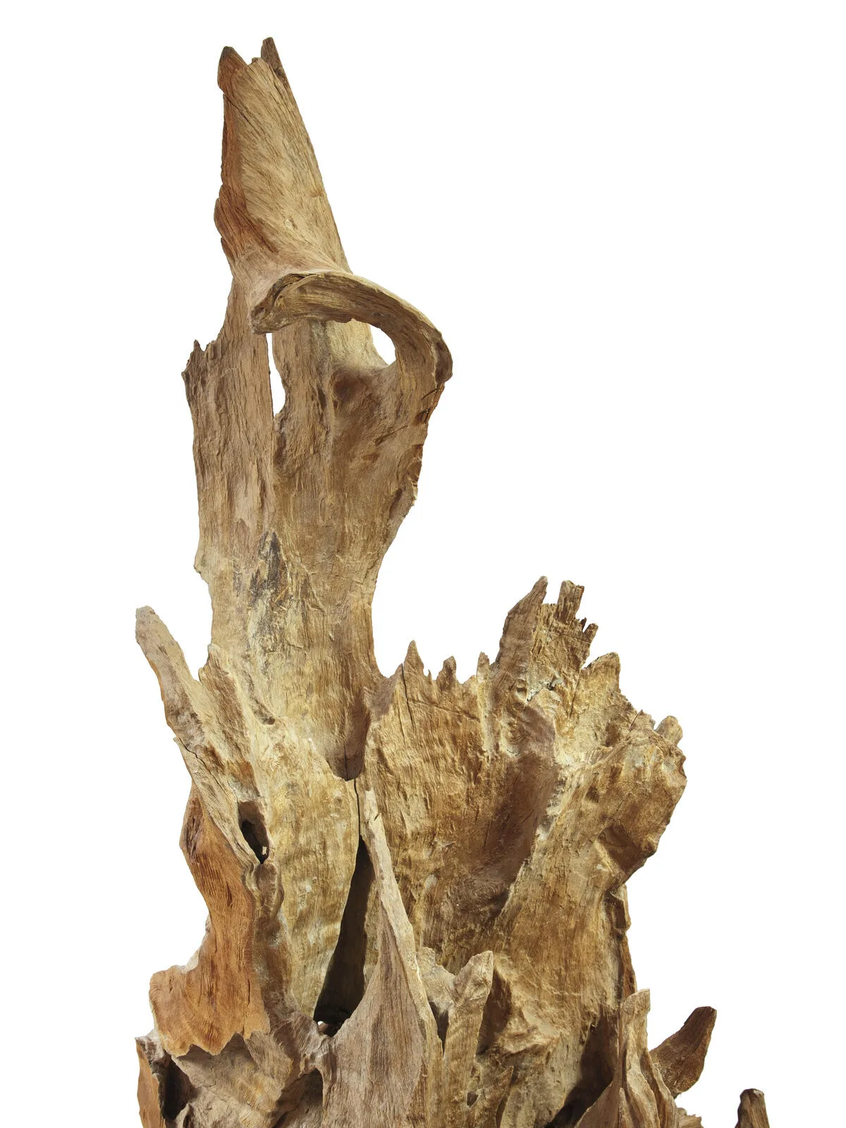 Europalms Natural wood sculpture 160cm