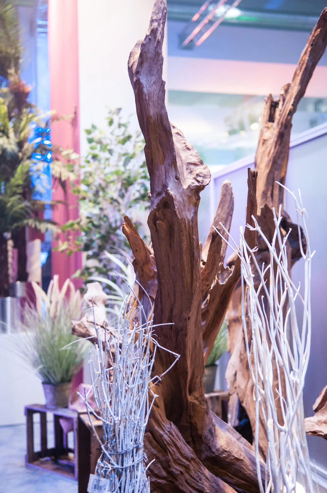 Europalms Natural wood sculpture 160cm