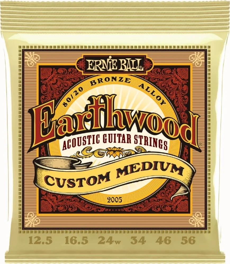 Ernie Ball 2005 Earthwood 80/20 Medium Custom