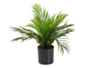 Europalms Areca Palm artificial plant 46 cm