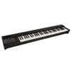 Moog 953 Duophonic 61 Keyboard Black