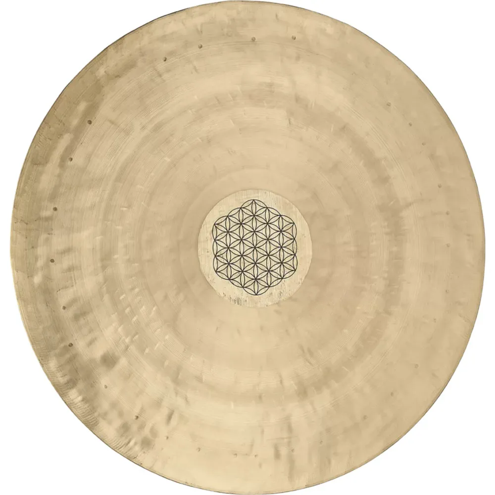 Meinl - WGFOL20