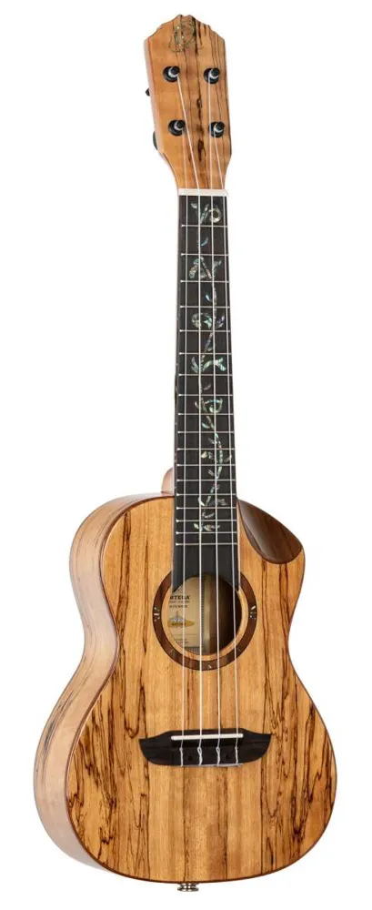 Ortega RUET-SMA
