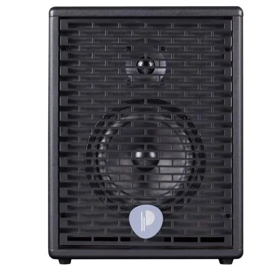 Prodipe Personal 6 Acoustic Instrument Amp