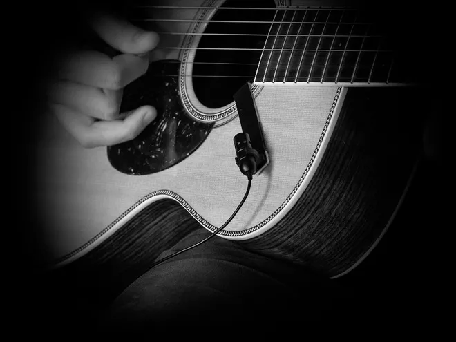 Prodipe GL21 Guitar/Ukulele Electret Microphone