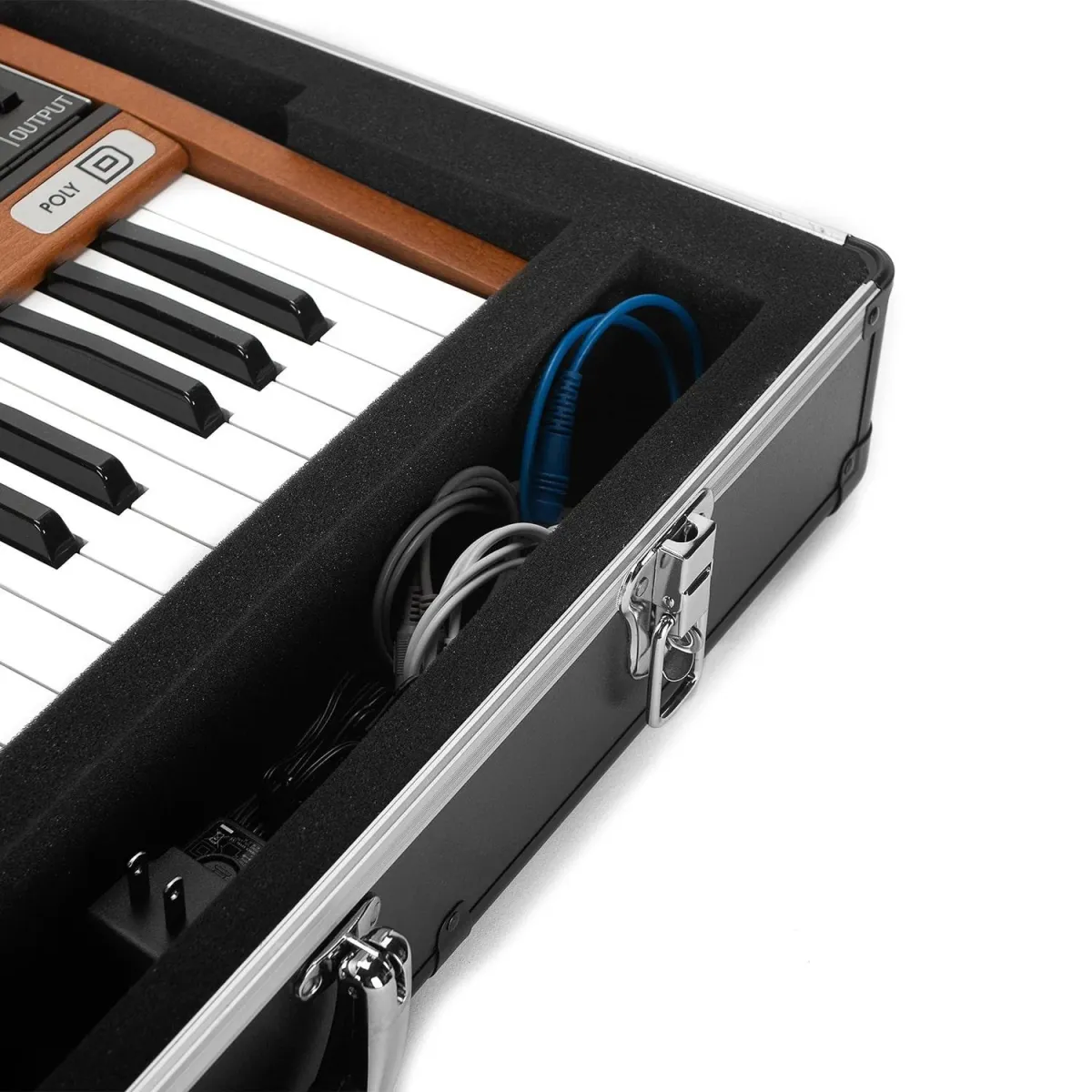 Analog Cases Unison Case For Behringer Poly D