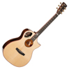 Cort Roselyn Redux Natural With Case