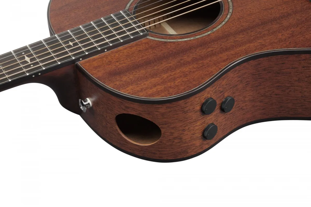 Ibanez AAM740E-LG