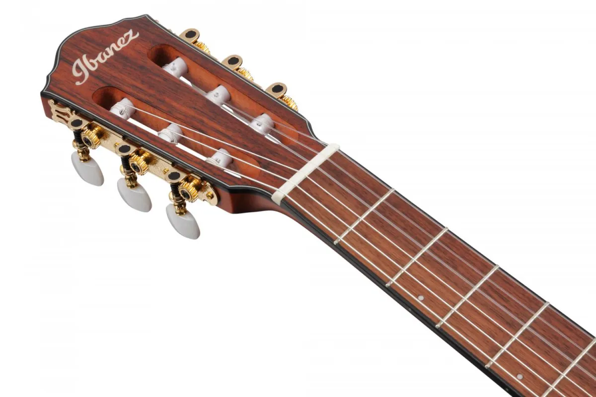 Ibanez FRH10N-RGF