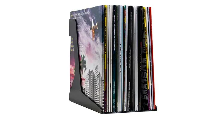 Audio Anatomy Record Stand 12