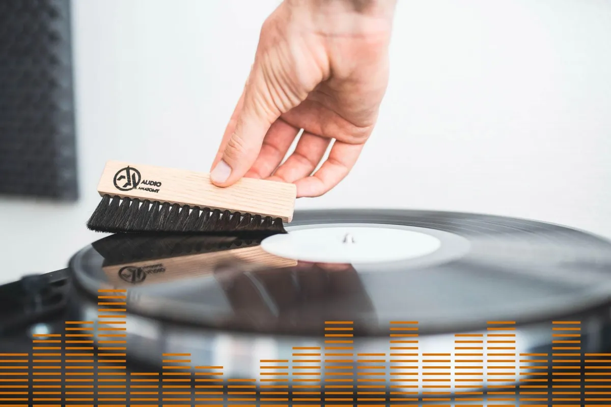 Audio Anatomy Vinyl Brush Goat Hair Black