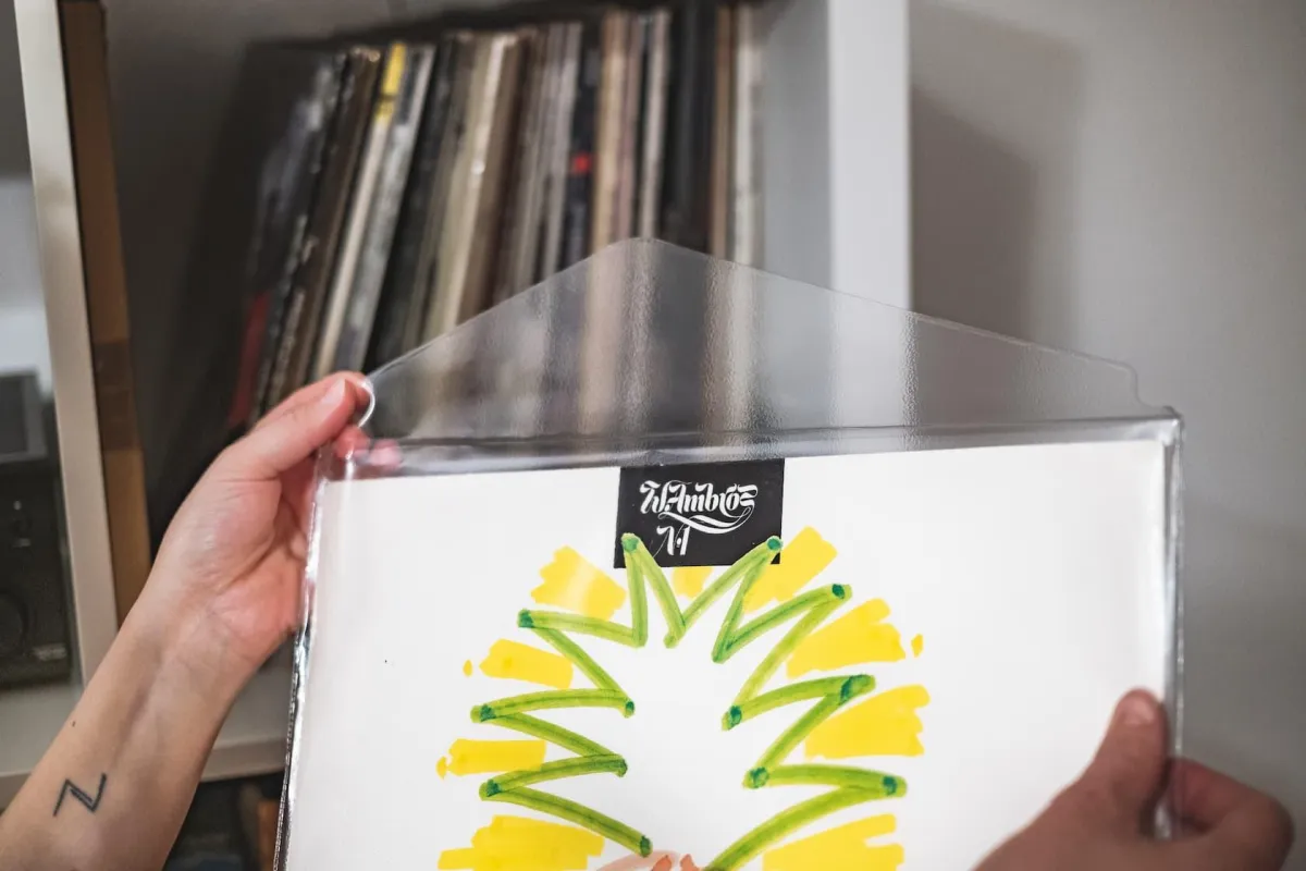 Audio Anatomy Vinyl Outer Sleeve PVC With Flap 25-pack
