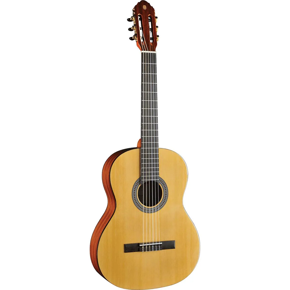 Eko Guitars Vibra 100 Natural