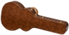 Gibson Lifton Historic Brown/Pink Hardshell Case SJ-200