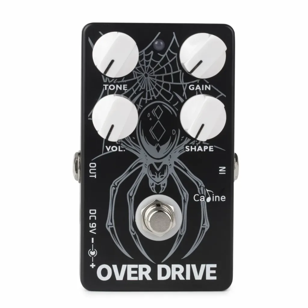 Caline CP-65 Overdrive Bass