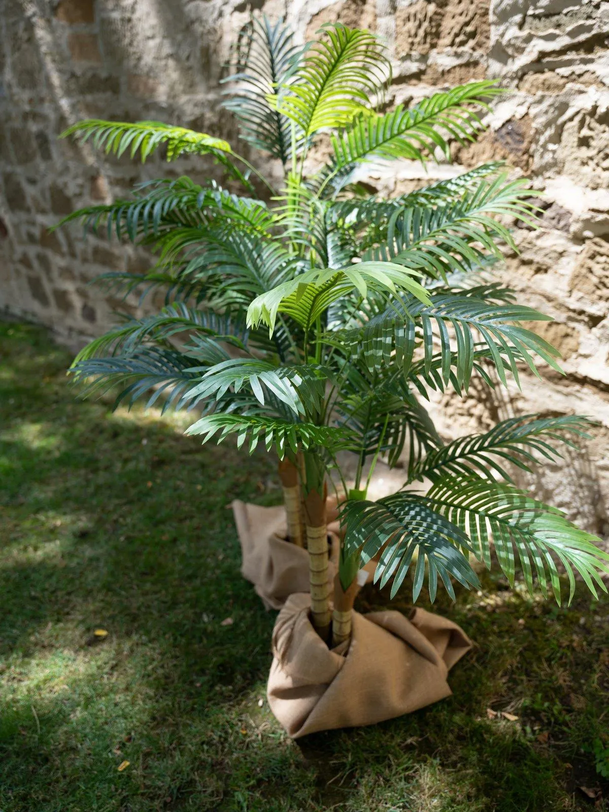 Europalms Areca Palm 120cm