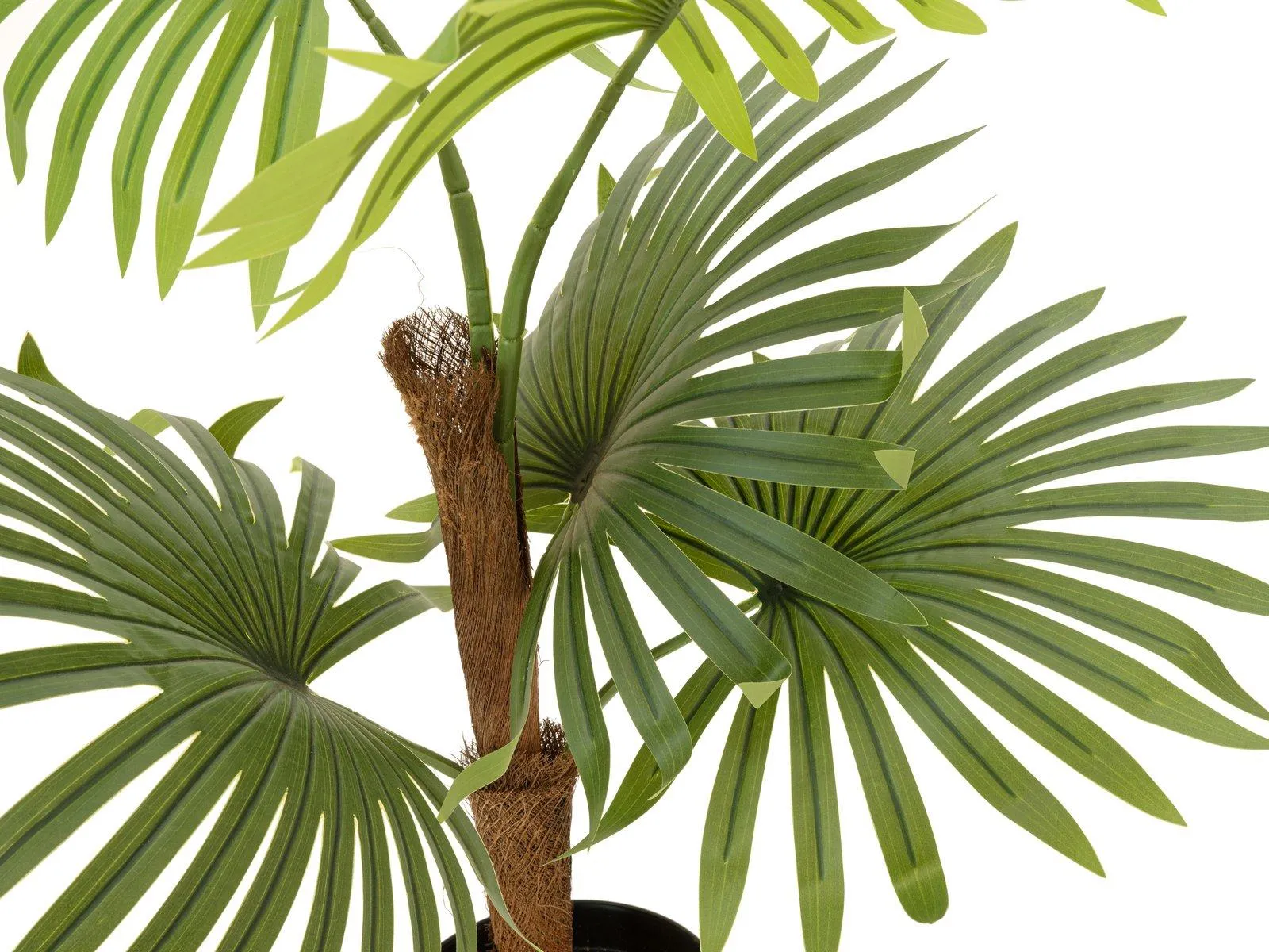 Europalms Fan Palm 88cm