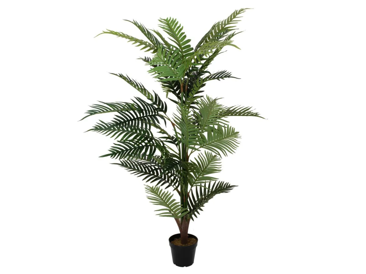 Europalms Areca Palm 150cm