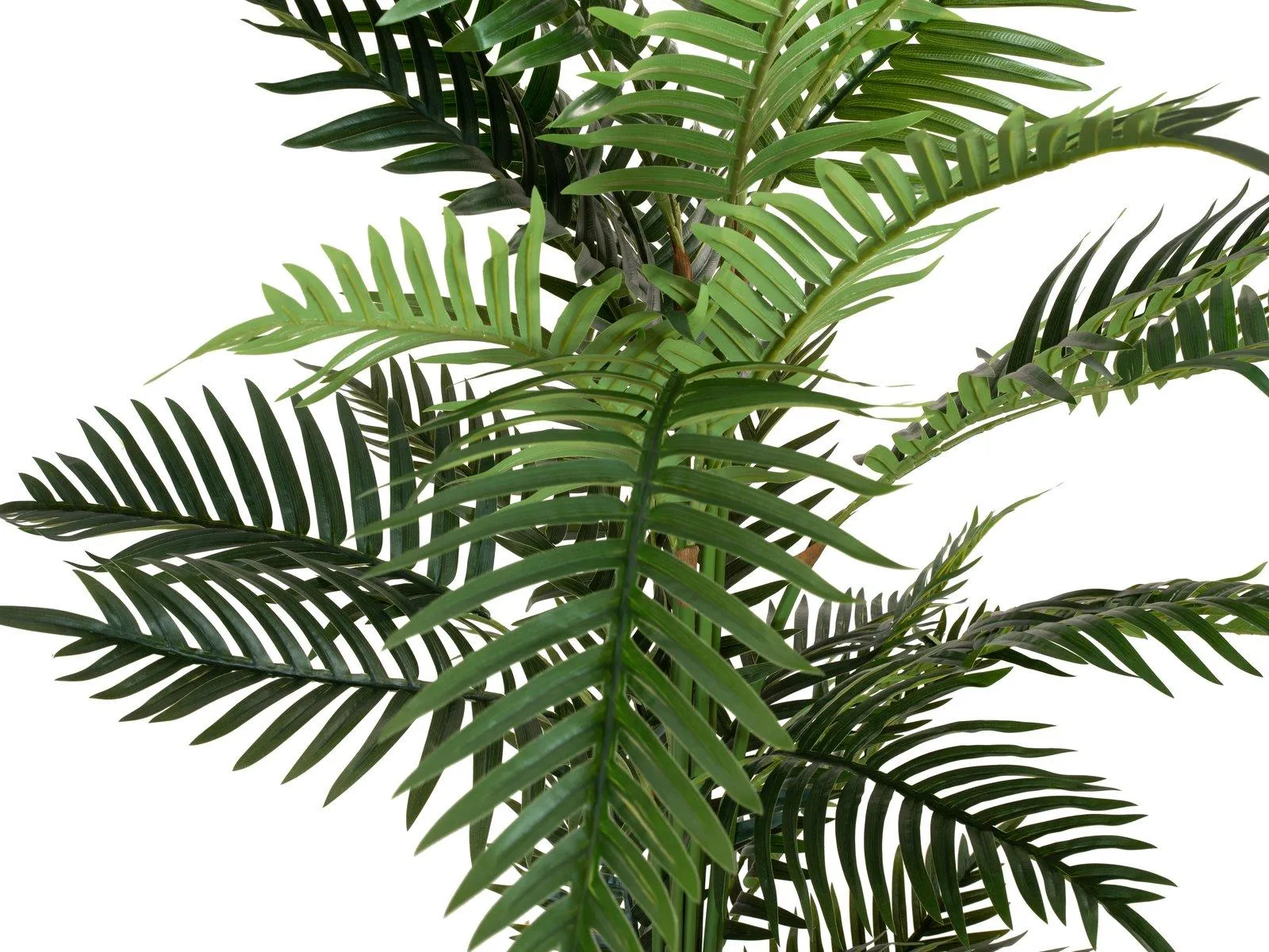 Europalms Areca Palm 150cm