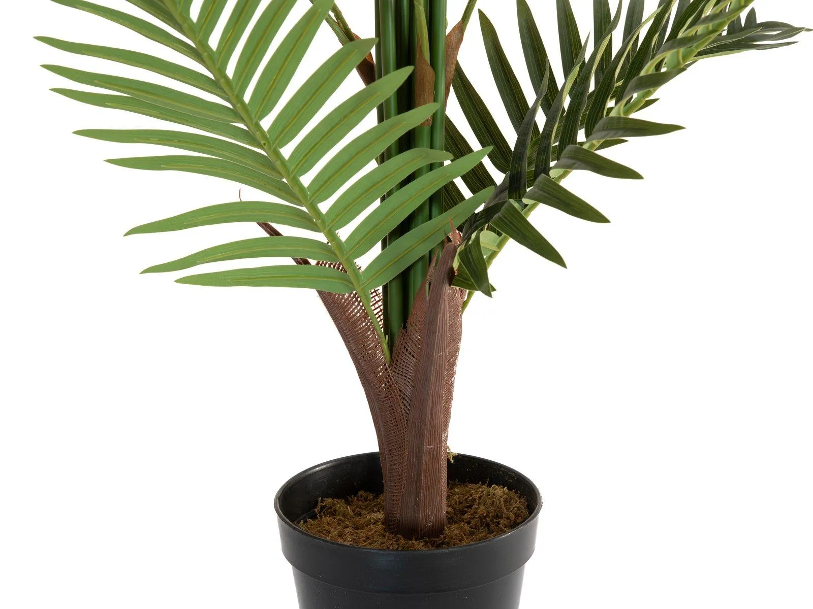 Europalms Areca Palm 150cm