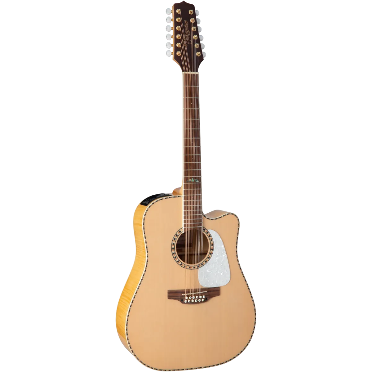Takamine GD74CE-12U