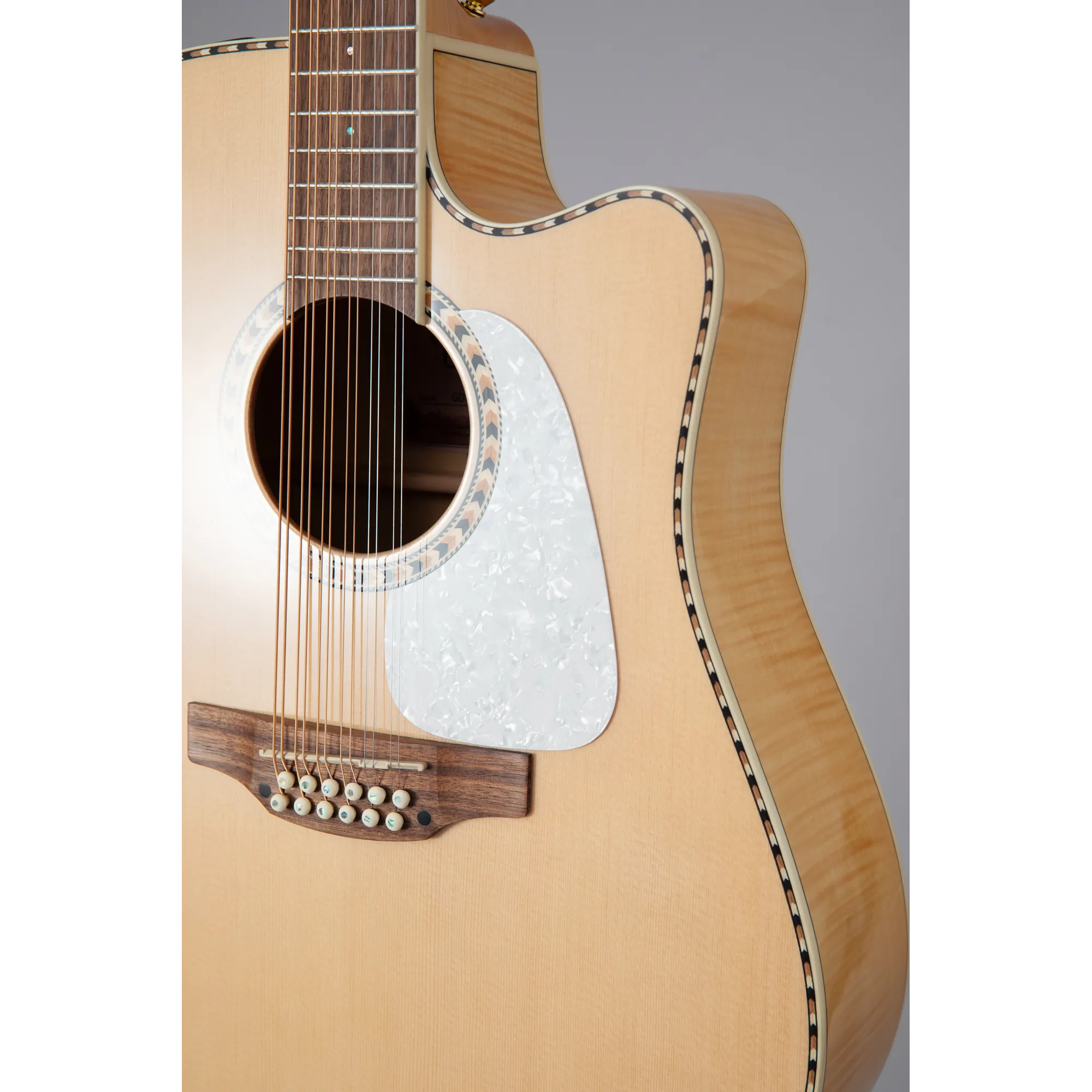 Takamine GD74CE-12U
