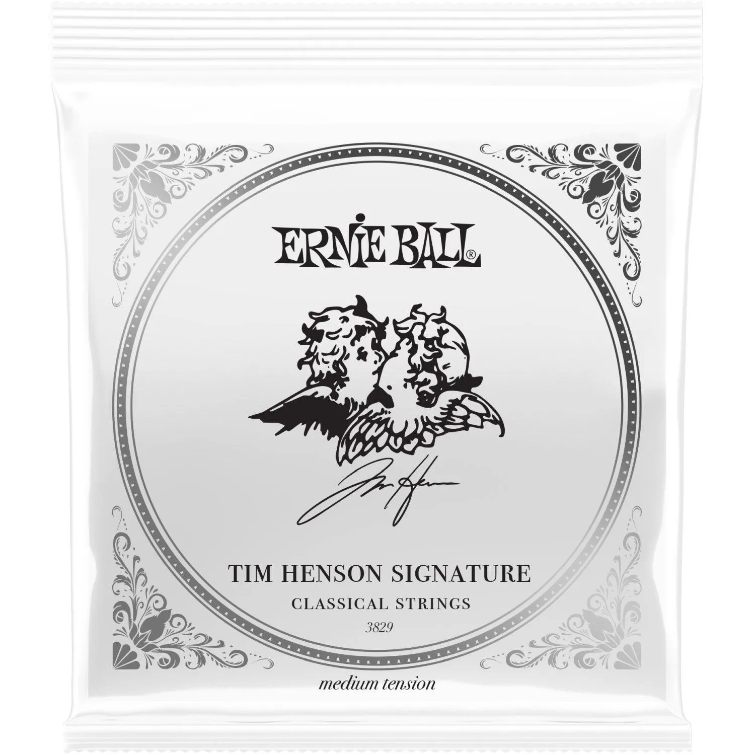 Ernie Ball 9635 Tim Henson Signature Bundle