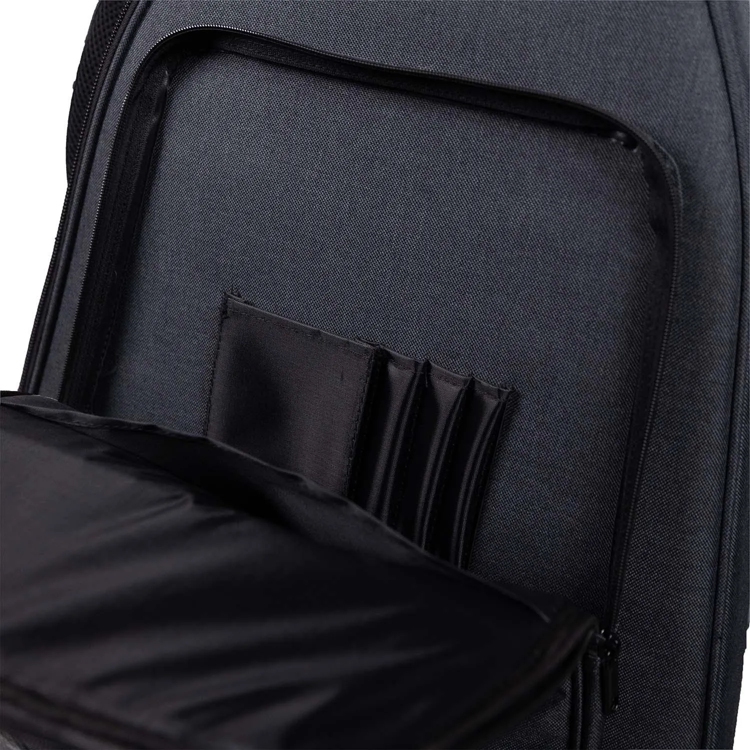 Profile PRC-BG Bass Softcase