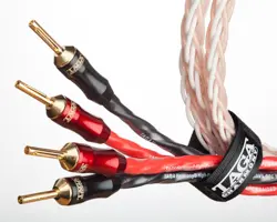 Taga Harmony Platinum 18-8C 2x3m