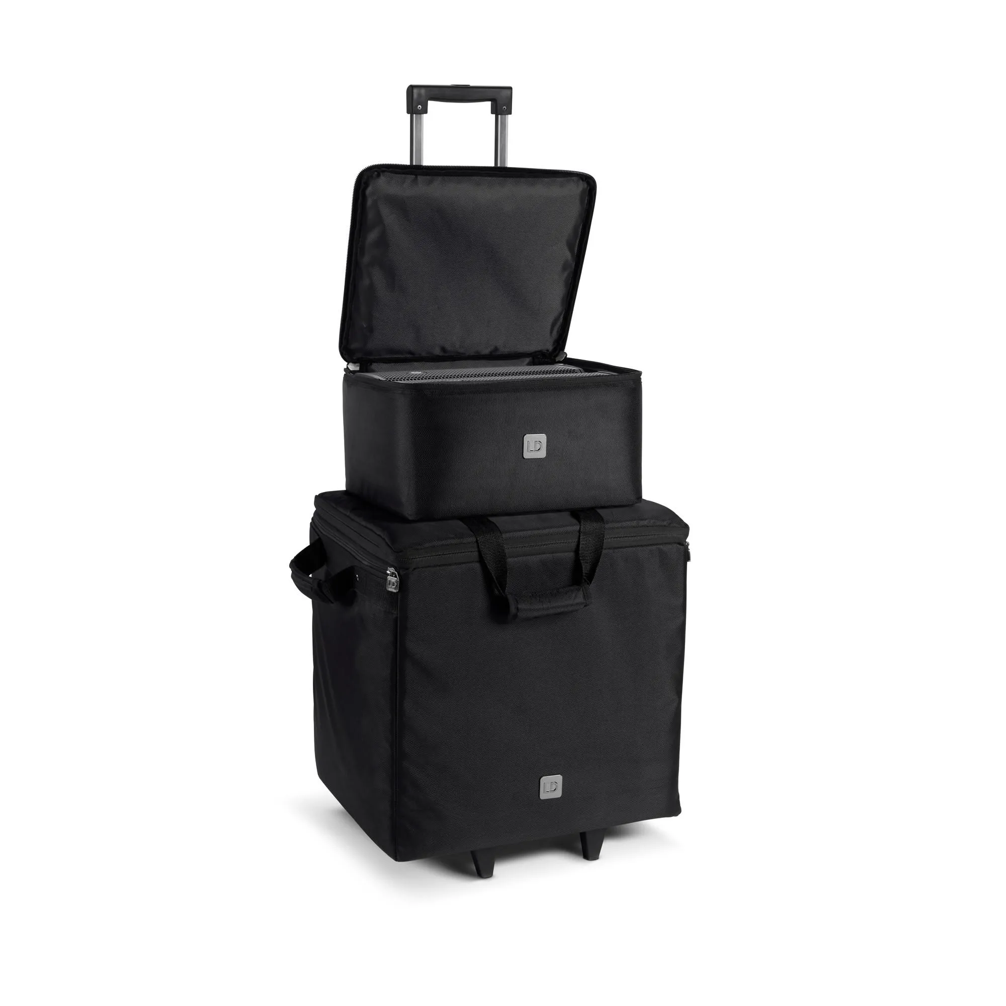 LD Systems Dave 10 G4X Bag Set