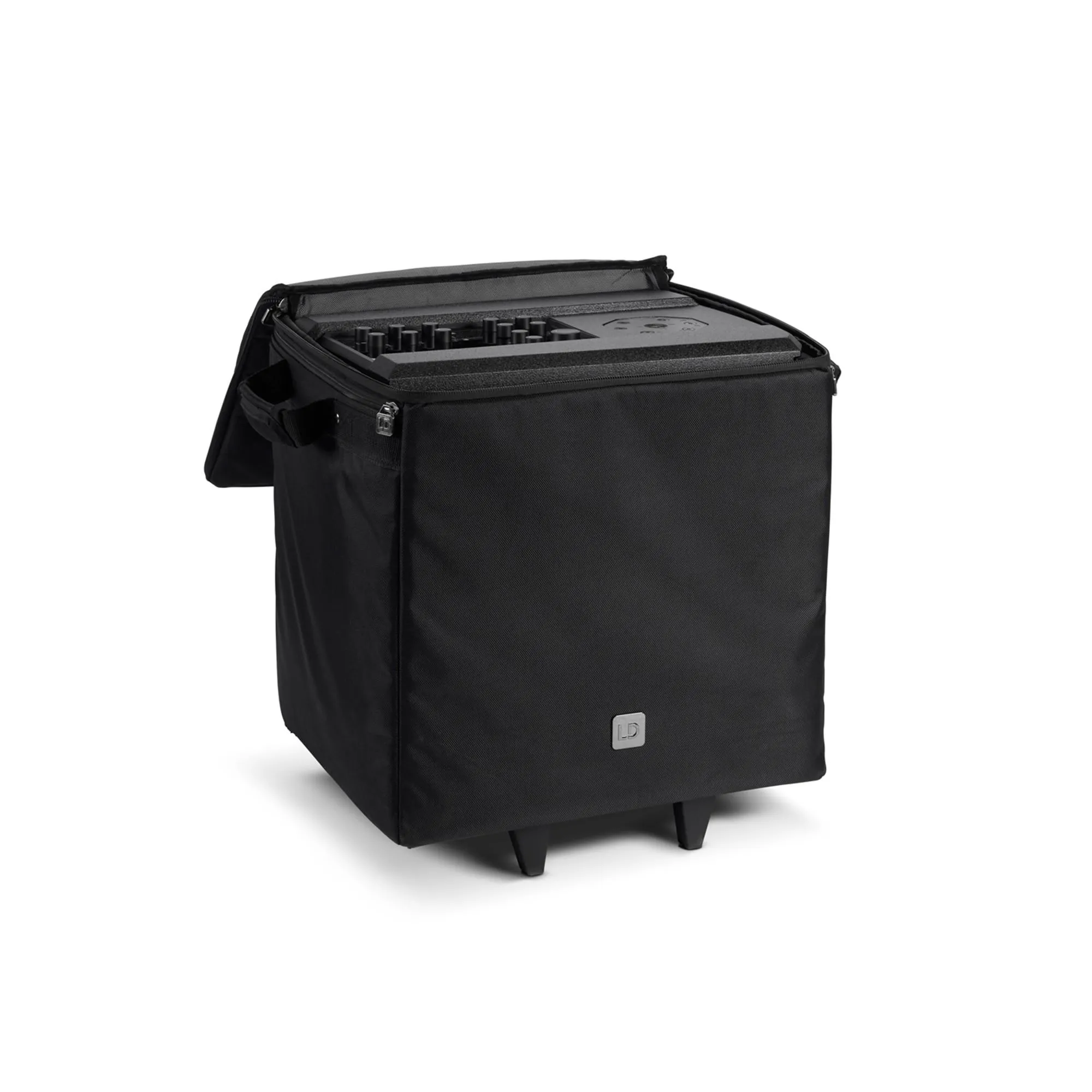 LD Systems Dave 10 G4X Bag Set