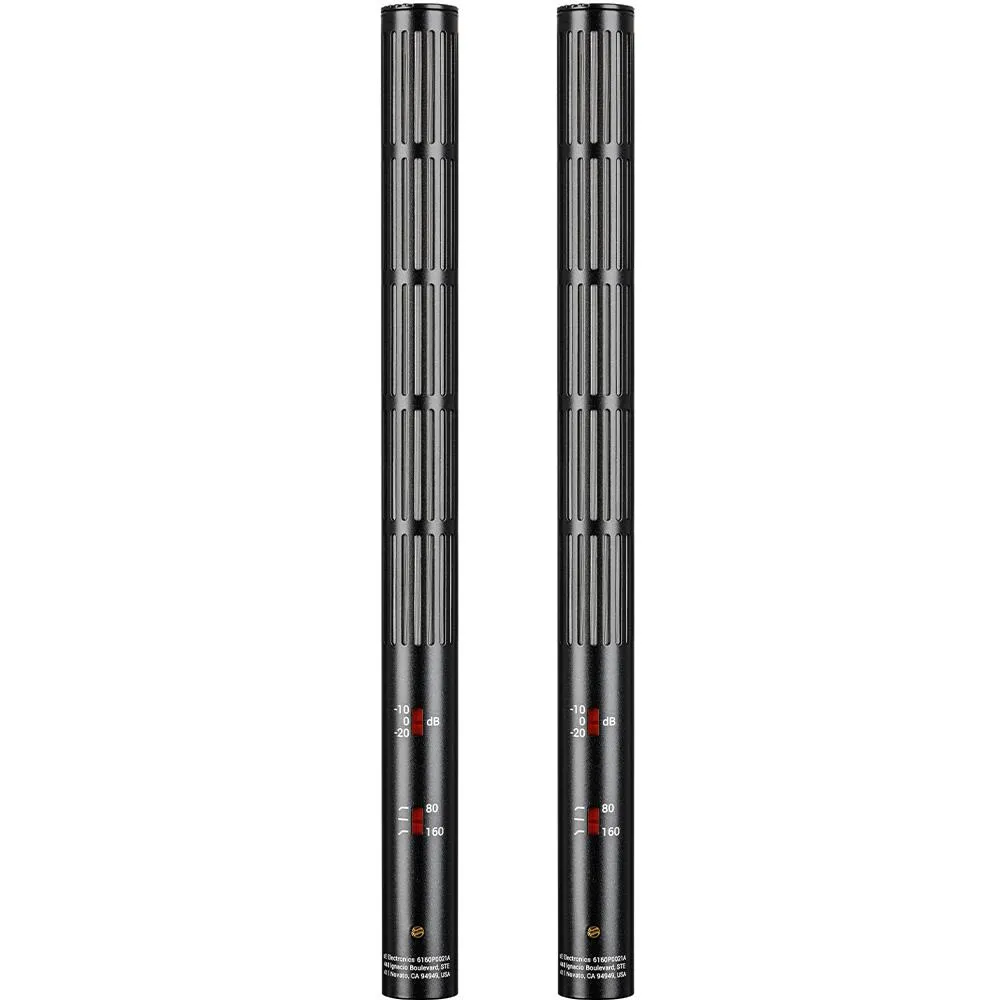 sE Electronics sE6160 Matched Pair